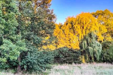 Grundstück Arnsdorf - 140.000&euro; | Angebot:26026497