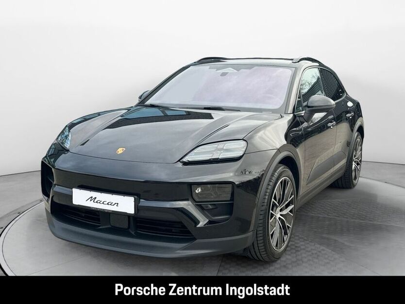 Macan
