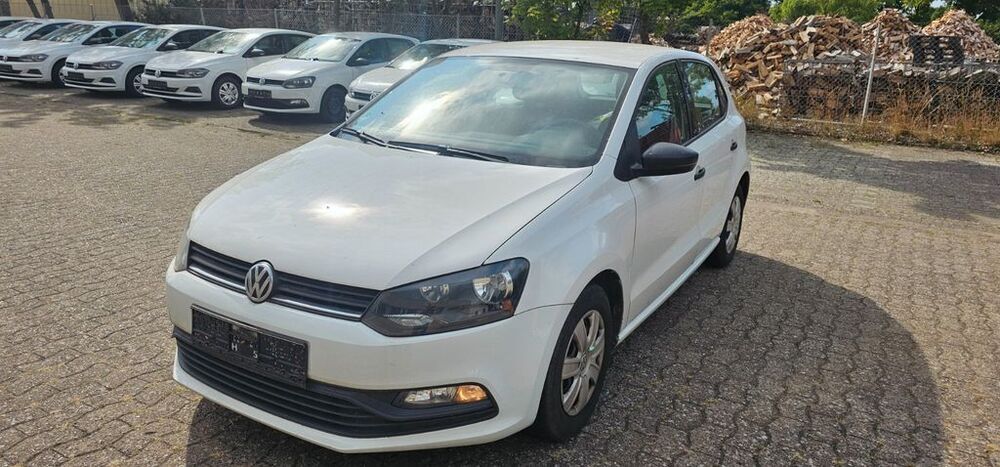Polo