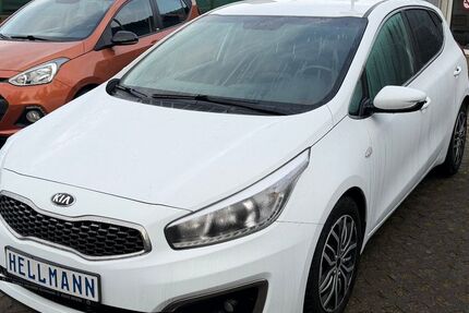 Kia Andere 51.000 km 12.999 &euro; Rietz Neuendorf OT Alt Golm 15848