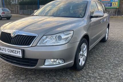 Skoda Octavia 195.000 km 3.999 &euro; Wiefelstede-Borbeck 26215