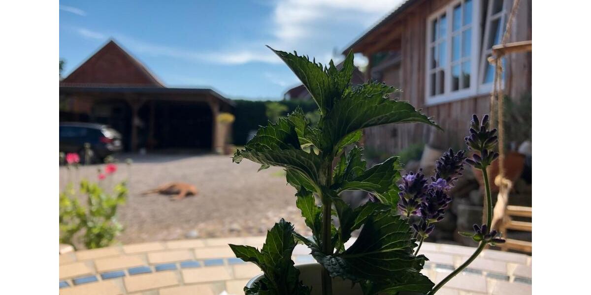 Einfamilienhaus Lübz - 380.000&euro; | Angebot:27136681