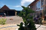 Einfamilienhaus Lübz - 380.000&euro; | Angebot:27136681