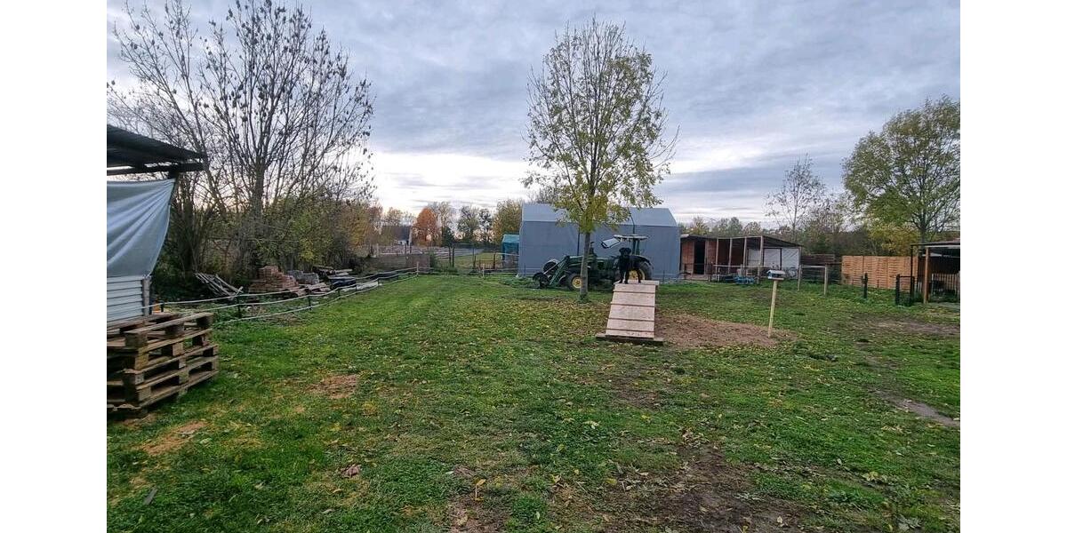 Einfamilienhaus Seelow - 3 Zimmer, 92 m&sup2;, 480.000&euro; | Angebot:24100177