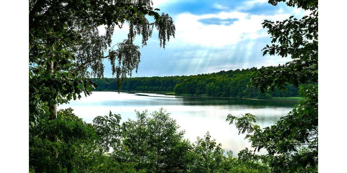 BAUREIFES GRUNDSTÜCK IN STRAUSBERGGARTENSTADT, NAHE DEM STRAUSSEE... - Grundstück Strausberg Strausberg | Angebot:24559309