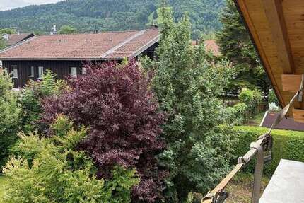 Wohnung Bergen - 2 Zimmer, 85 m&sup2;, 1.190&euro; | Angebot:26912765