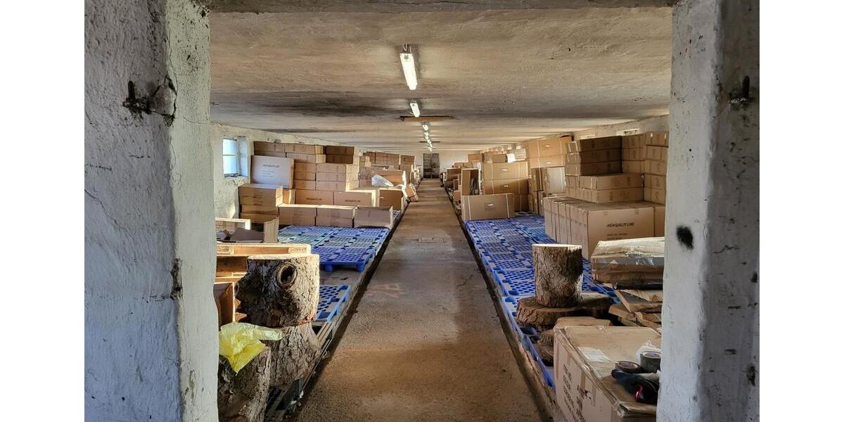 Gewerbeobjekt Löwenberger Land - 750&euro; | Angebot:25348808