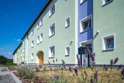 Wohnung Eberswalde - 3 Zimmer, 74 m&sup2;, 736&euro; | Angebot:27133159