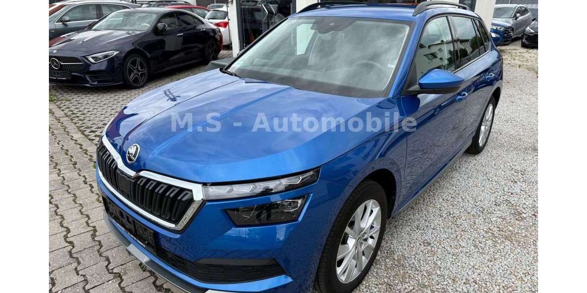Skoda Kamiq 65.319 km 17.699 &euro; Cham 93413