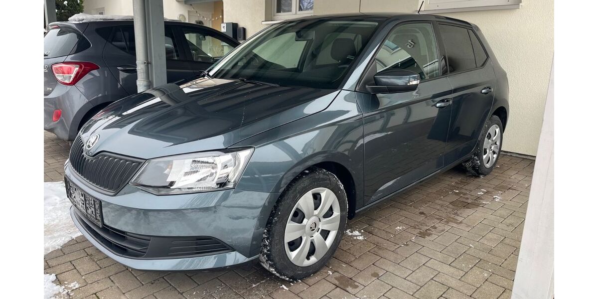 Skoda Fabia 99.676 km 7.800 &euro; Langenhagen 30855