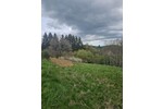 Grundstück Nationalpark Eifel leben wo andere Urlaub machen - Grundstück Hellenthal | Angebot:26248371