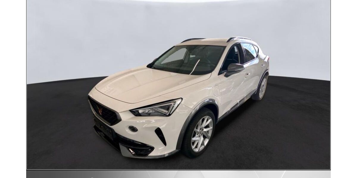 Cupra Formentor 14.009 km 25.470 &euro; Helmstedt 38350