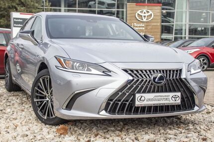 Lexus ES 300 2.500 km 41.980 &euro; Stadtbergen 86391