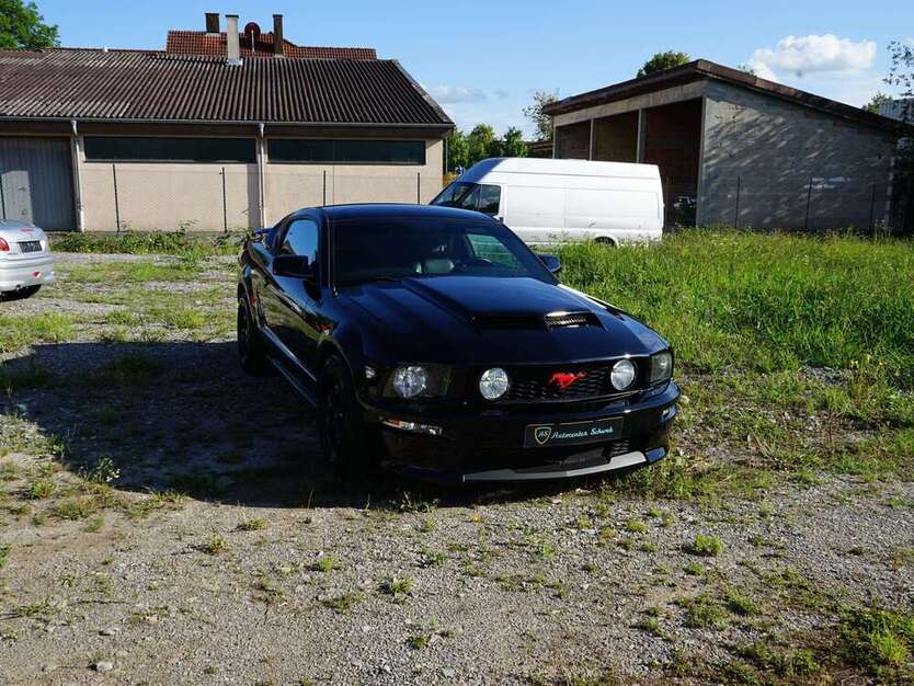 Mustang