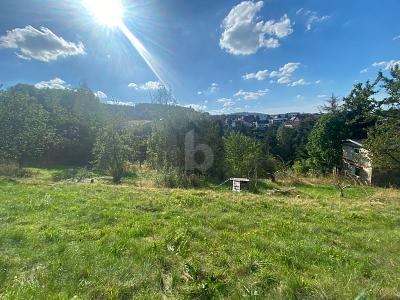 TRAUMGRUNDSTÜCK MIT UNVERBAUBAREM BLICK - Grundstück Ilmenau | Angebot:25213840