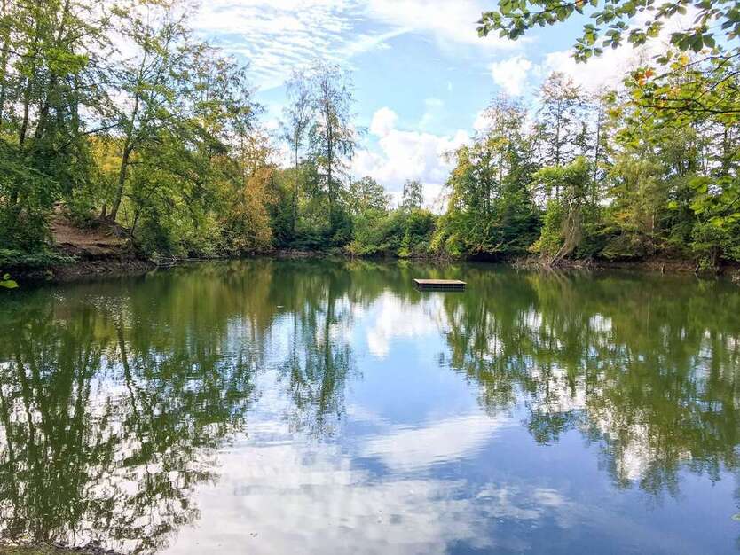 Grundstück in Asbach 150.000 € 31210 m²
