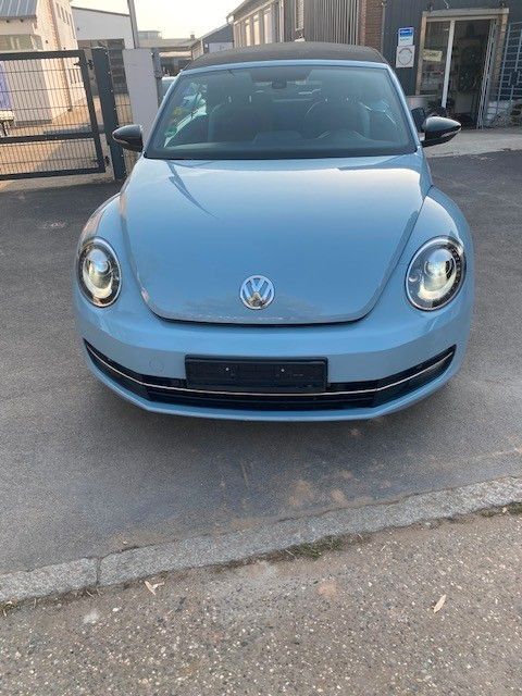Beetle