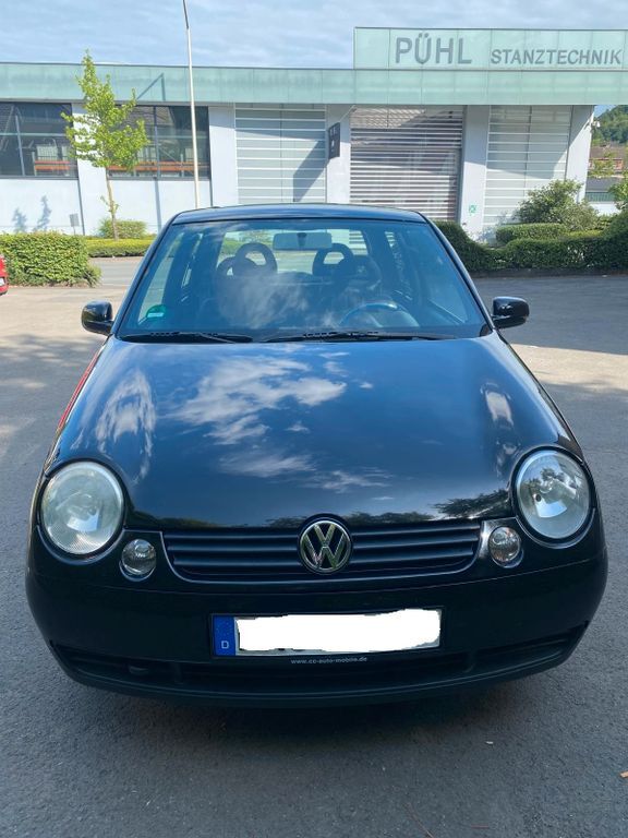 Lupo