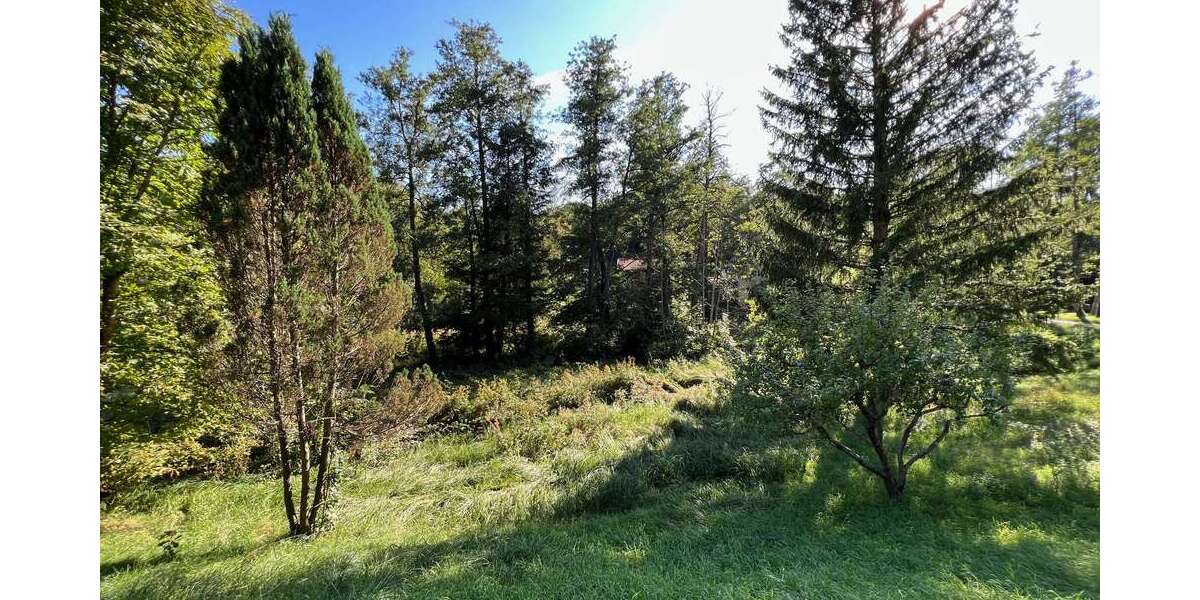 Grundstück Ebersberg - 1.000.000&euro; | Angebot:23954639