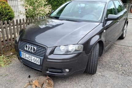 Audi A3 132.000 km 3.500 &euro; Geiersthal 94244