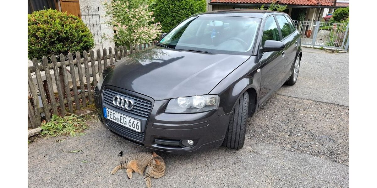 Audi A3 132.000 km 3.500 &euro; Geiersthal 94244