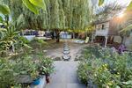 Einfamilienhaus Biblis - 4 Zimmer, 115 m&sup2;, 469.000&euro; | Angebot:27209658
