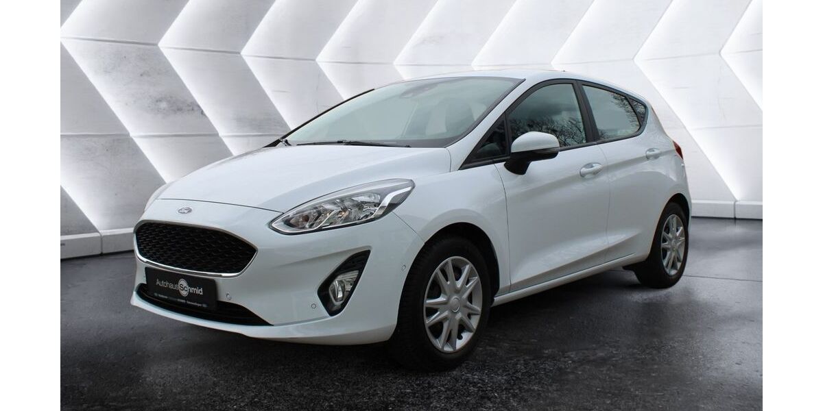 Ford Fiesta 87.900 km 8.900 &euro; Waldkirch 79183