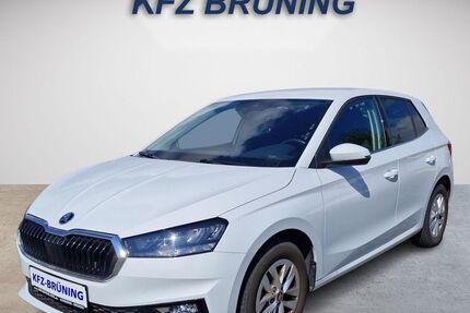 Skoda Fabia 12.860 km 16.780 &euro; Lingen (Ems) 49811