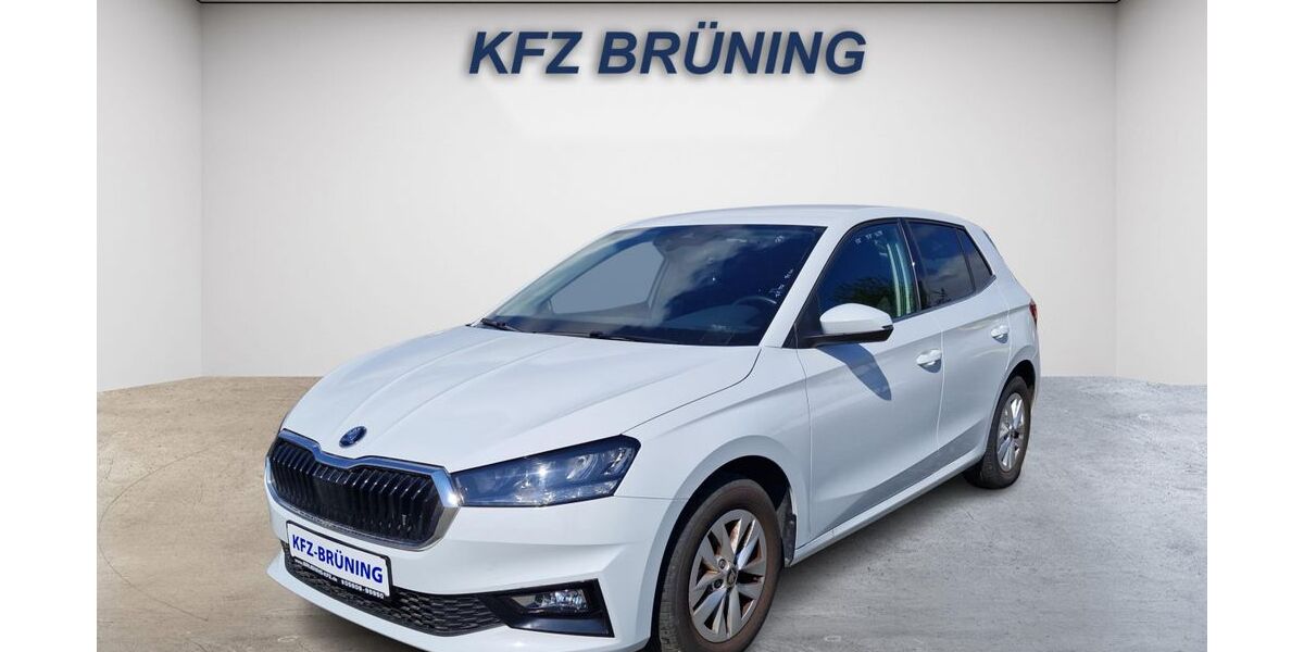 Skoda Fabia 12.860 km 16.780 &euro; Lingen (Ems) 49811