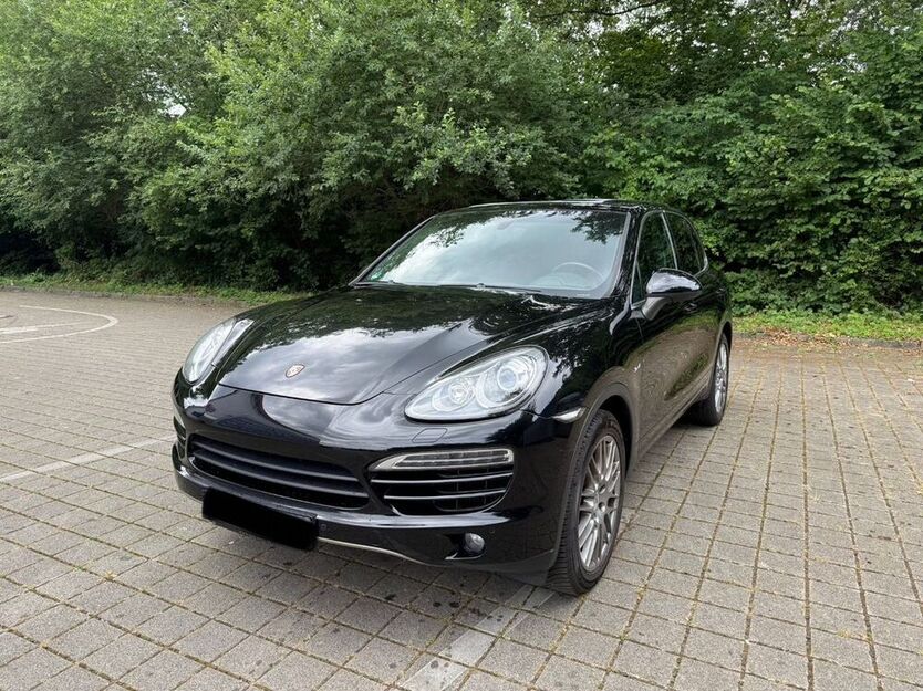 Cayenne