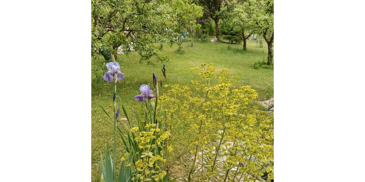 Einfamilienhaus Ergolding - 210.000&euro; | Angebot:26889374