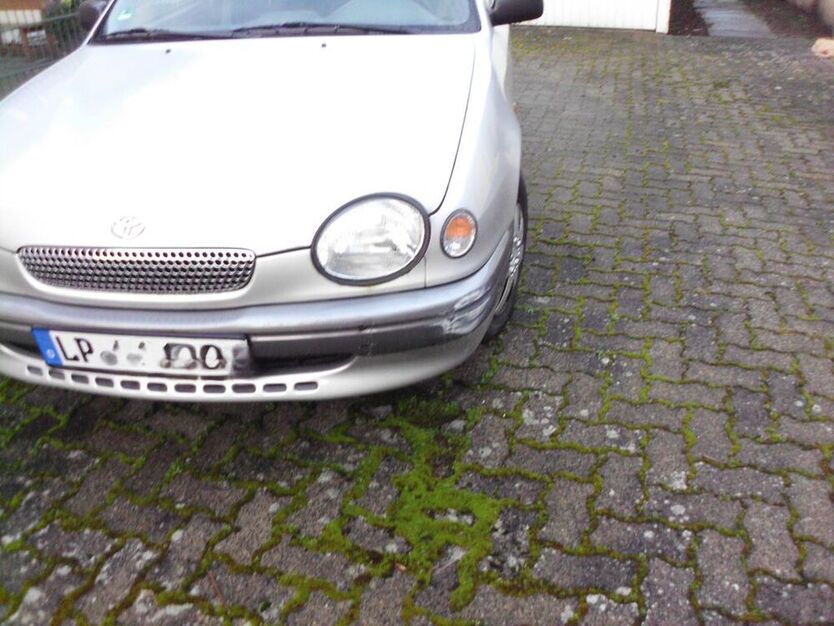 Corolla