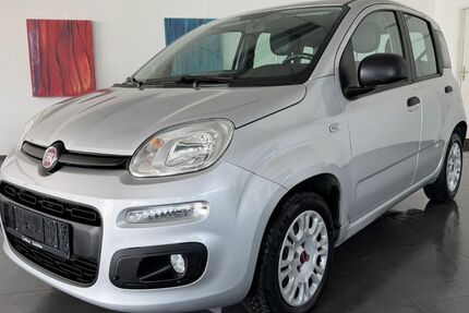 Fiat Panda 67.000 km 7.280 &euro; Zwickau 08056