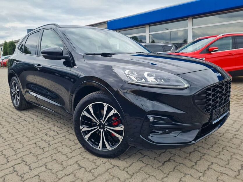 Kuga