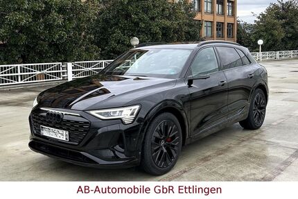 Audi Q8 e-tron 41.544 km 55.900 &euro; Ettlingen 76275