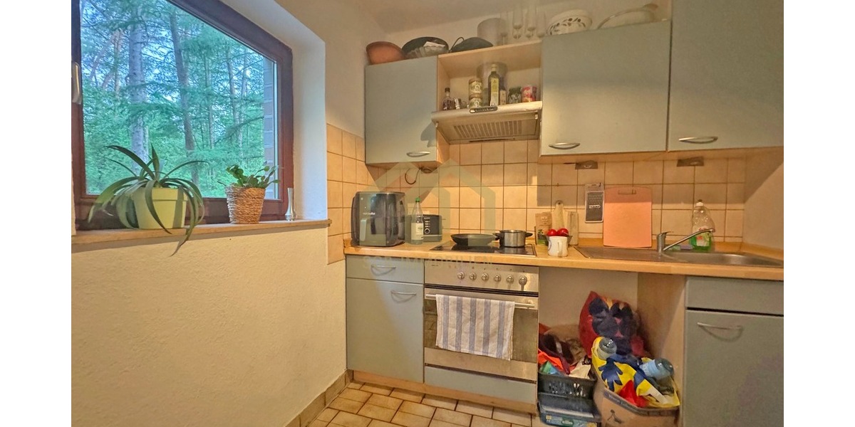 6.503 m² Naturparadies an der Hunte – Wochenendhaus in traumhafter Waldlage - Einfamilienhaus Wildeshausen | Angebot:26801669