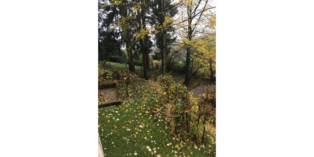 Etagenwohnung Wuppertal Gemarkung Elberfeld - 1 Zimmer, 31 m&sup2;, 50.000&euro; | Angebot:24811771