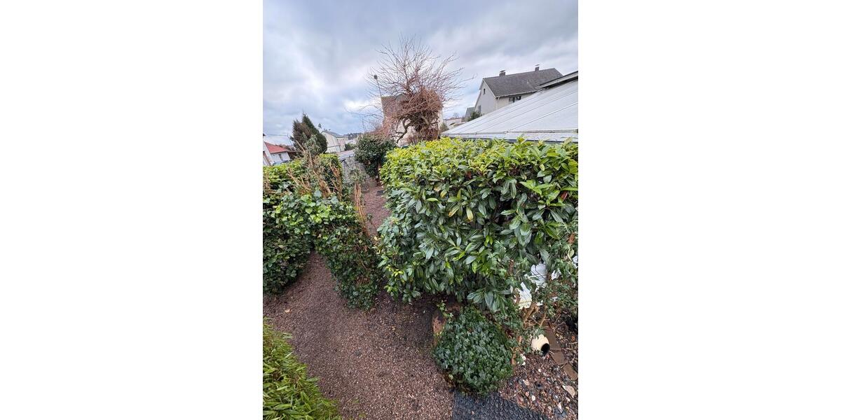 Erdgeschosswohnung, Mehrfamilienhaus 3 zimmer