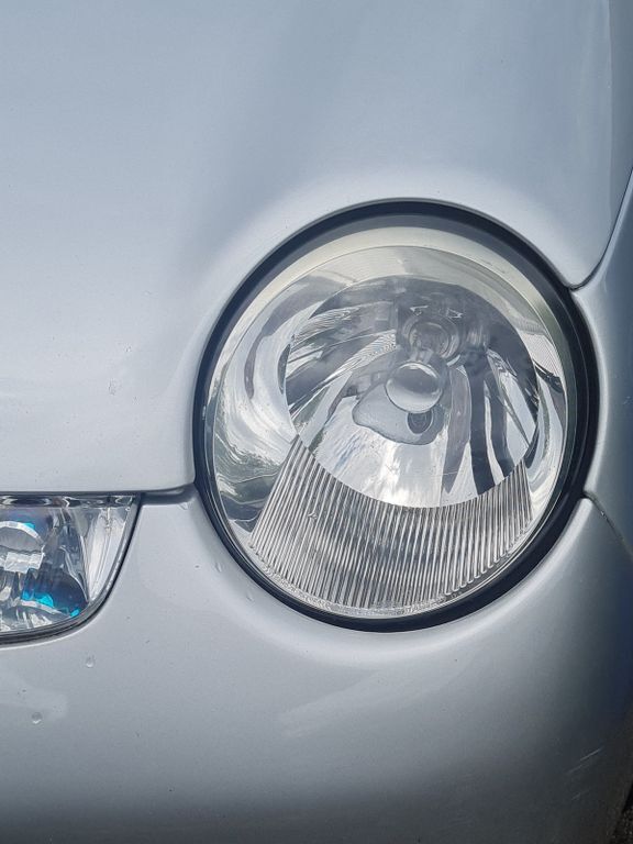 Lupo