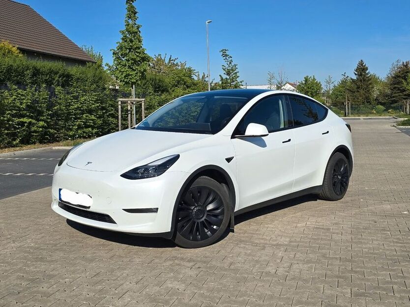 Model Y