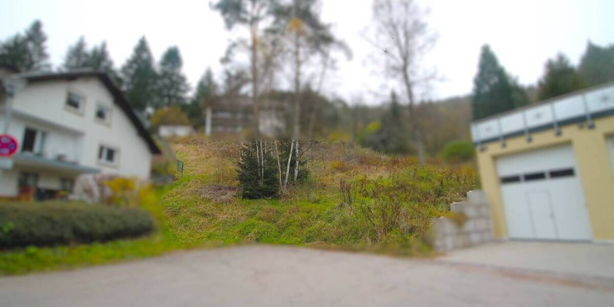 Grundstück Titisee-Neustadt Neustadt - 188.000&euro; | Angebot:23981804