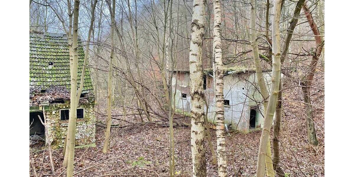 Gewerbeobjekt Garz - 89.000&euro; | Angebot:25668107