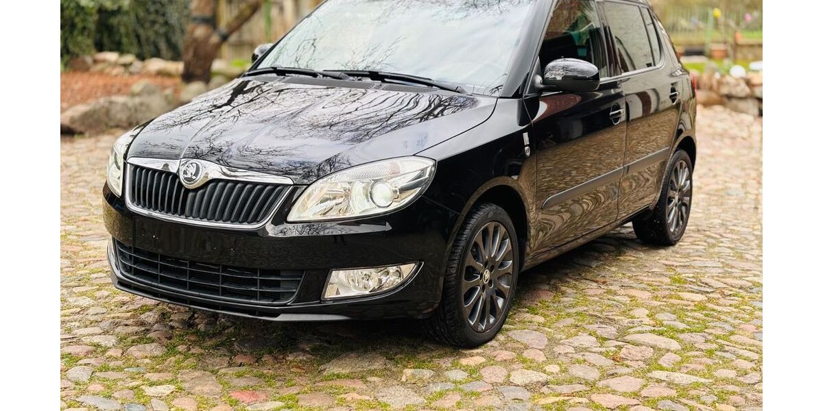 Skoda Fabia 94.350 km 6.400 &euro; Zerbst 39261