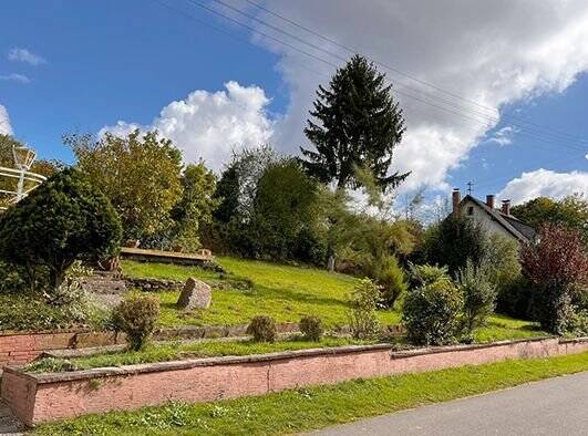 Grundstück Steinwenden - 150.000&euro; | Angebot:23884457