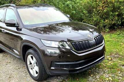 Skoda Kodiaq 65.300 km 19.500 € Osternienburger Land 06386