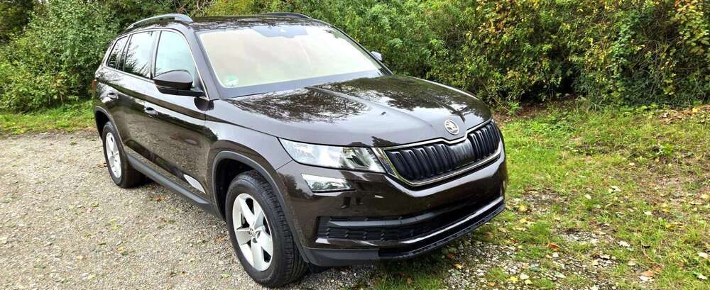 Skoda Kodiaq 65.300 km 19.500 € Osternienburger Land 06386