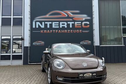 VW Beetle