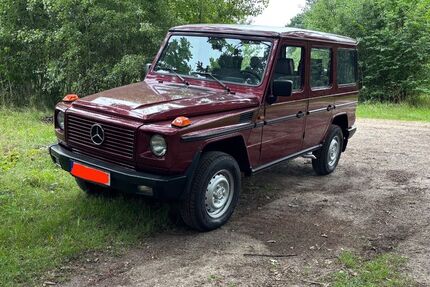 Mercedes-Benz G 300 192.000 km 29.500 &euro; Müssen 21516