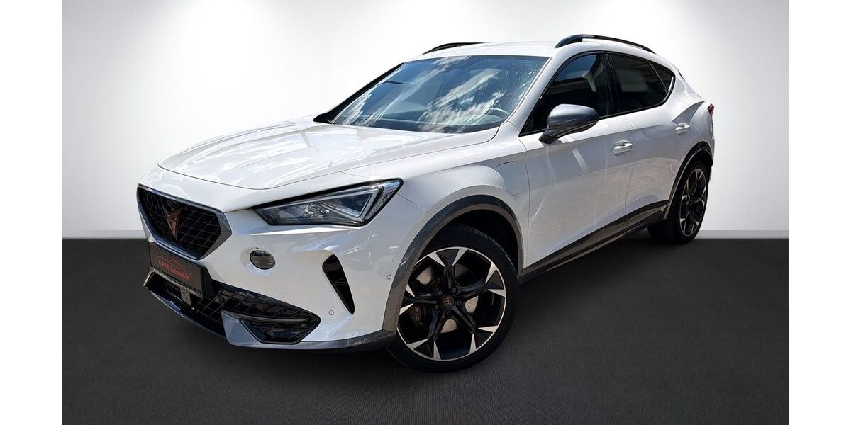 Cupra Formentor 89.700 km 24.990 &euro; Freilassing 83395