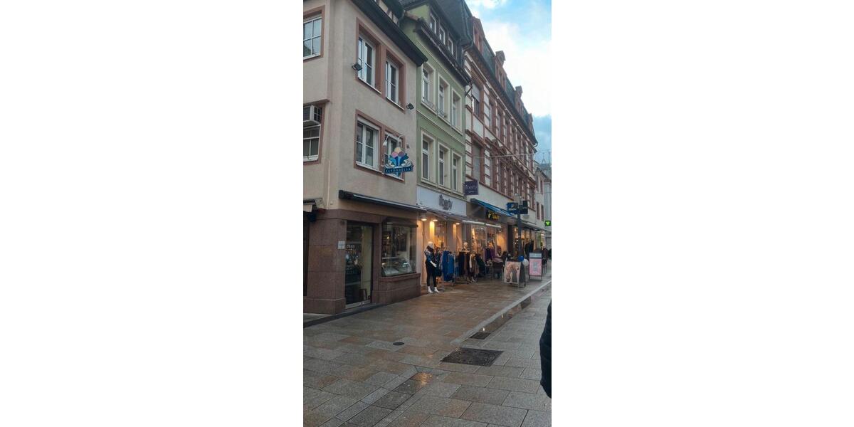 Dachgeschoßwohnung Landau in der Pfalz - 1 Zimmer, 37 m&sup2;, 680&euro; | Angebot:26314780